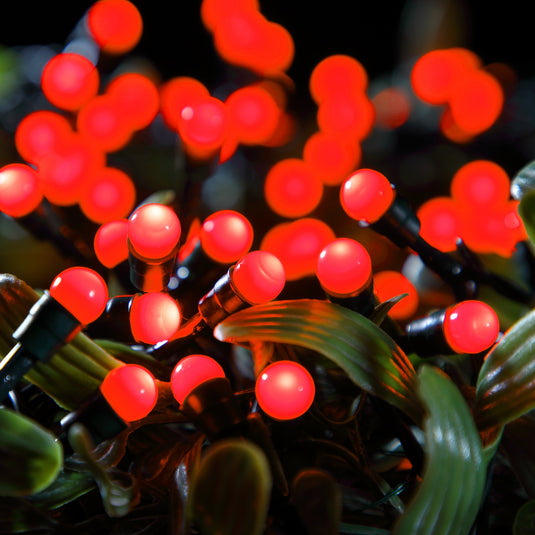 50 Fit & Forget Red Multifunction Berry Lights