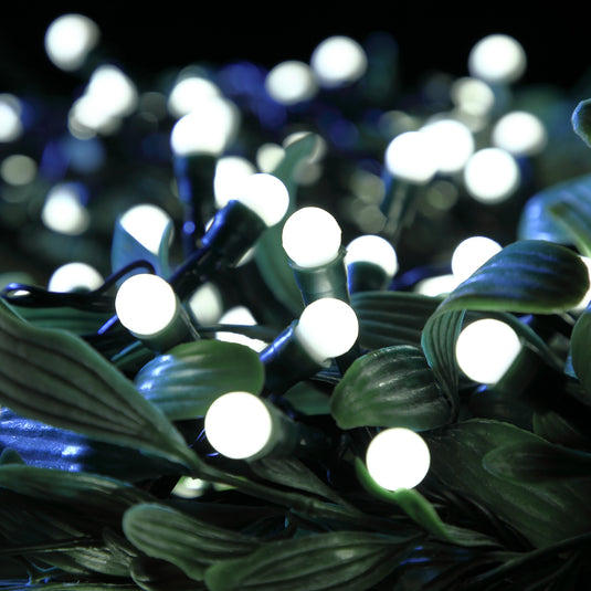 100 Fit & Forget White Multifunction Berry Lights