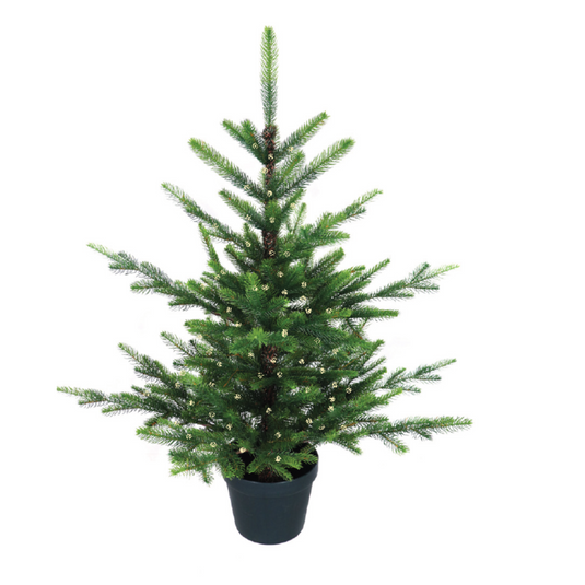 3' Pre-Lit Potted Nordman Fir Tree - 50 Warm White LEDs