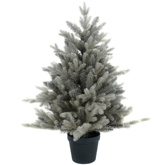 3' Silverdale Potted Tree